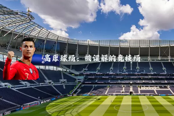 高原球场:被误解的竞技场